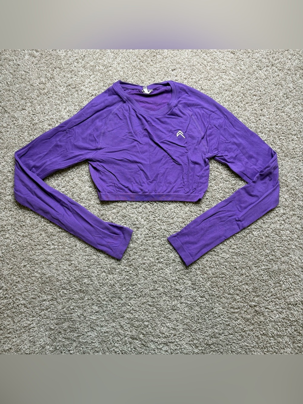 Oner Active Seamless Long Sleeve Crop Top